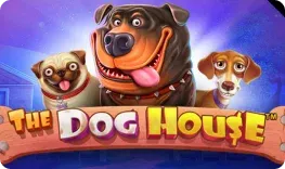 7gold Casino – The Dog House
